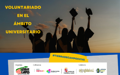 Voluntariado en el ámbito universitario