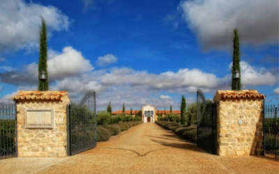 La Bodega Heredad de Urueña reconocida por su innovación en la producción de vino