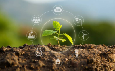 Itacyl trabaja en la valorización de las denominaciones de origen e impulso de la bioeconomía