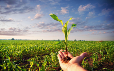 Garantizar la seguridad alimentaria, reducir el uso de plaguicidas en la UE y evitar la deforestación y promover la silvicultura, las prioridades del Consejo Consultivo de Política Agrícola para Asuntos Comunitarios