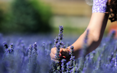 Las mujeres reciben menos de la tercera parte de las ayudas directas y de desarrollo rural de la PAC