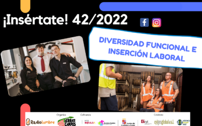 DIVERSIDAD FUNCIONAL E INSERCIÓN LABORAL