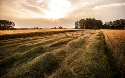 La desigualdad de oportunidades para los jóvenes habitantes del medio rural