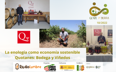 La enología como economía sostenible