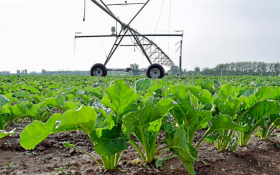 Apoyo a las explotaciones agrarias de Castilla y Léon afectadas por la guerra en Ucrania