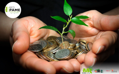 Ampliado hasta 2025 el plazo de solicitud de préstamos con garantía pública destinados al sector agrario y agroalimentario