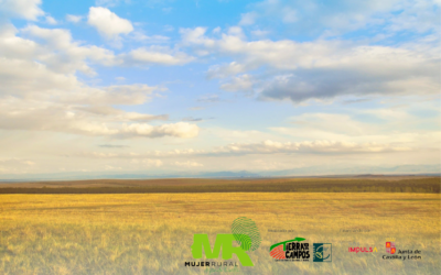 El Gobierno de España publica la orden de módulos con una rebaja mínima del 25 % en el IRPF 2022