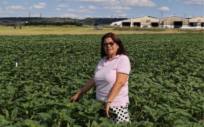 «Las mujeres aportamos una visión estrátegica y nuevas habilidades»