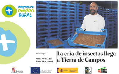 La cría de insectos llega a Tierra de Campos