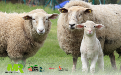 Ayudas al fomento de la cría e inscripción de ejemplares de razas puras de Castilla y León en los libros genealógicos