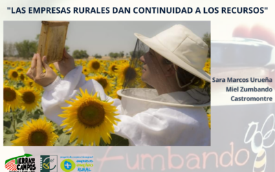 Sostenibilidad, un camino esencial para la continuidad del negocio