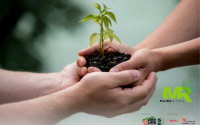 Ayudas para promover el dimensionamiento y planificación del cooperativismo agroalimentario