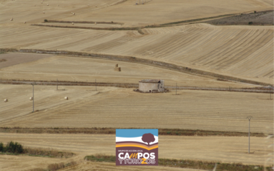 El Senado aprueba la moción para estudiar la creación del primer Observatorio Rural en España