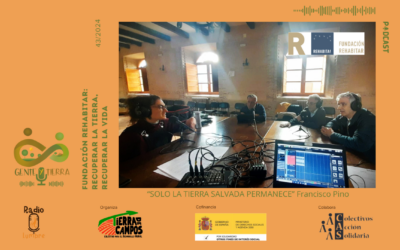 Entrevista Fundación Rehabitar