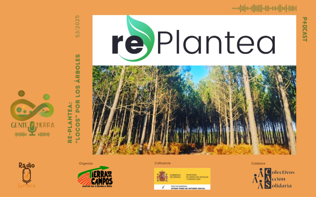 re-Plantea: “locos” por los árboles