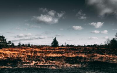 Custodiar el territorio: la mejor defensa contra el fuego