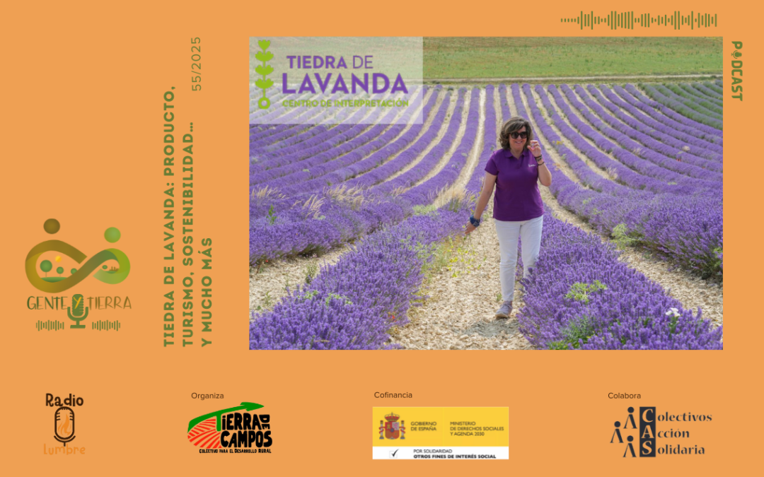 Tiedra de Lavanda: producto, turismo, sostenibilidad… y mucho más