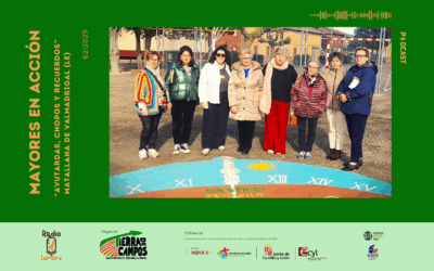 Avutardas, chopos y recuerdos: Matallana de Valmadrigal (LE)