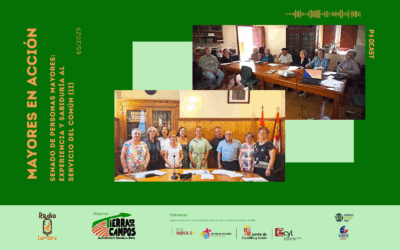 Senado de Mayores: Experiencia y sabiduría al servicio del común (II)